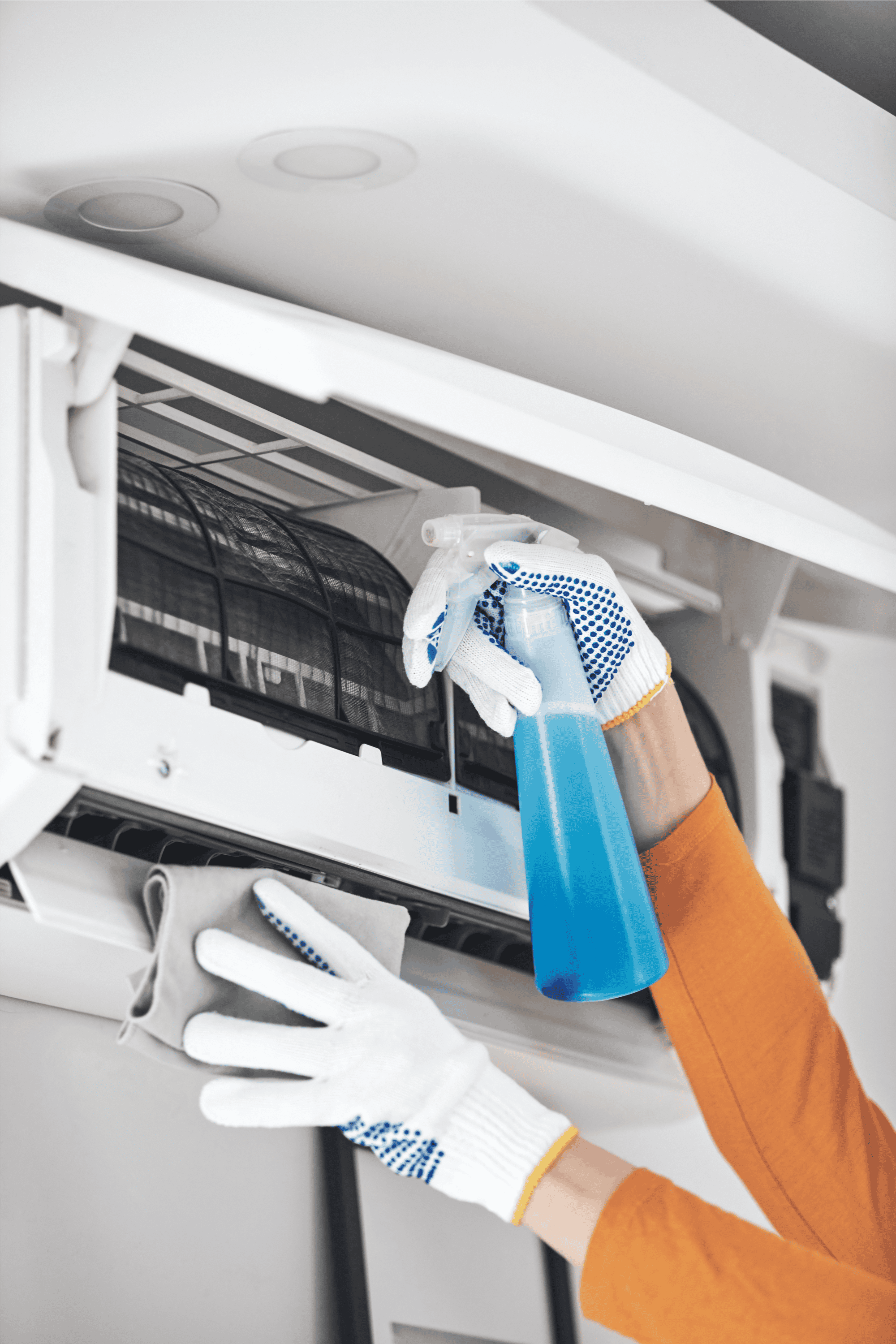 Untitled design (17)